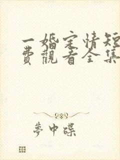 一婚定情短剧免费观看全集