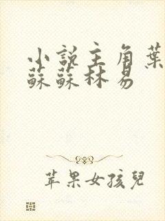 小说主角叶枫白苏苏林易