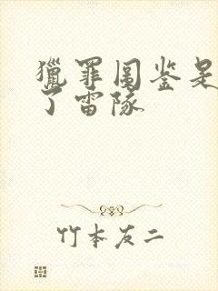 猎罪图鉴是谁杀了雷队