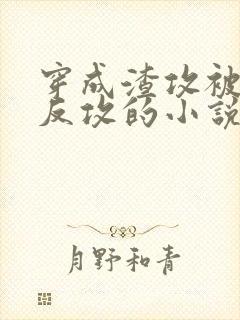 穿成渣攻被老婆反攻的小说封面