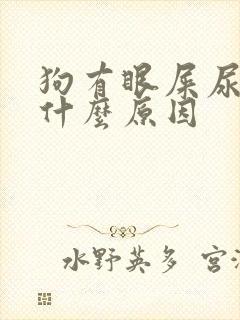 狗有眼屎尿黄是什么原因封面