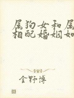 属狗女和属龙男相配婚姻如何