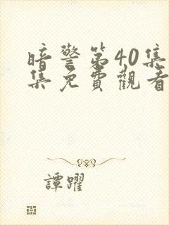 暗警第40集全集免费观看