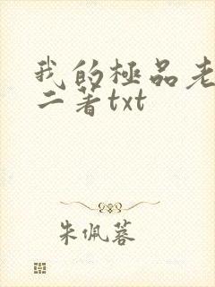 我的极品老婆小二著txt