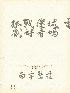 孤战迷城 电视剧好看吗