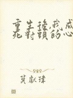 重生后,我成了死对头的心尖宠封面