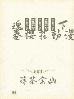 魂インサート下卷樱花动漫什么时候