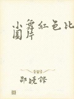 小舞红色比基尼图片封面