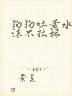 狗狗吐黄水带泡沫不拉稀