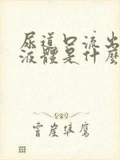 尿道口流出浓状液体是什么病