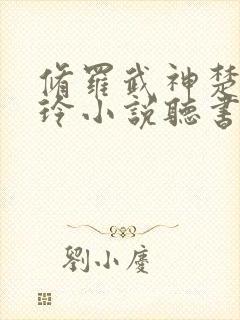 修罗武神楚枫紫玲小说听书免费全集