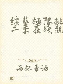 综艺极限挑战第二季在线观看