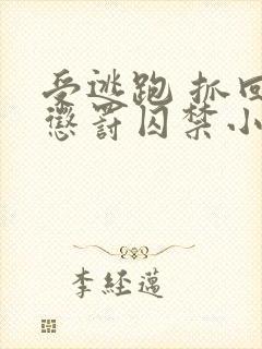 受逃跑 抓回 惩罚囚禁小说