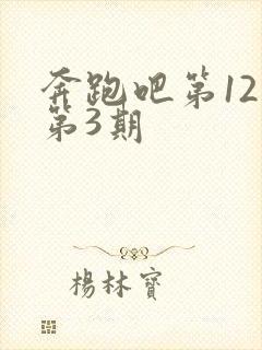 奔跑吧第12季第3期