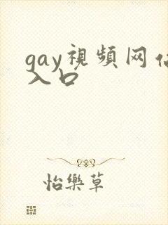 gay视频网站入口封面