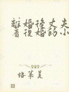 离婚后丈夫哭求着复婚的小说