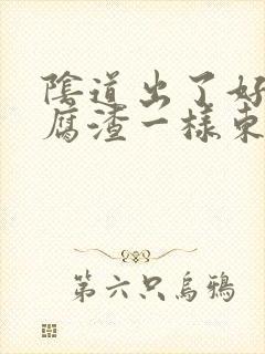 阴道出了好多豆腐渣一样东西封面