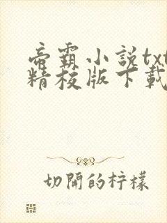 帝霸小说txt精校版下载