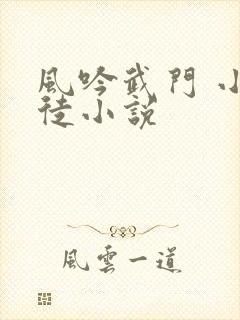 风吟武门 小九徒小说封面