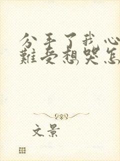 分手了我心里好难受想哭怎么办封面