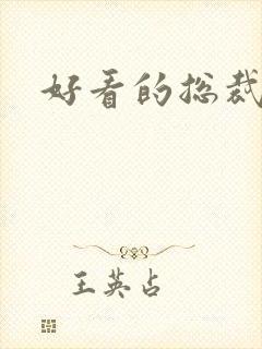 好看的总裁小说