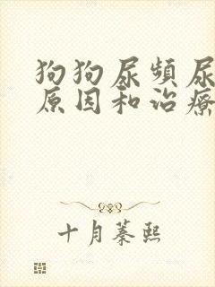 狗狗尿频尿血的原因和治疗方法