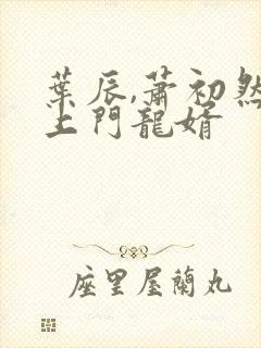 叶辰,萧初然,上门龙婿