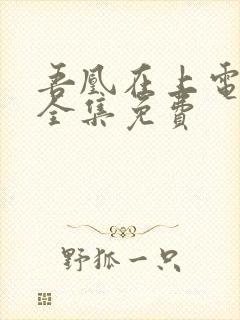 吾凰在上电视剧全集免费