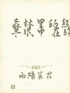 森林里的熊先生冬眠中 在线播放