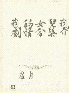 我的女儿我的泪剧情分集介绍封面