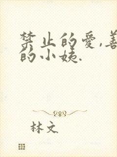 禁止的爱,善良的小姨.封面