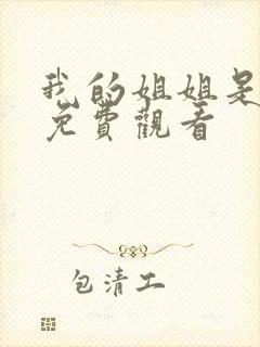 我的姐姐是法官免费观看封面