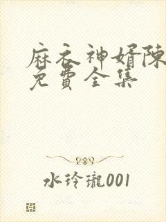 麻衣神婿陈黄皮免费全集