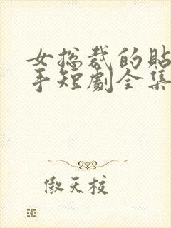 女总裁的贴身高手短剧全集免费版