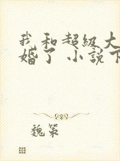 我和超级大佬隐婚了 小说下载封面