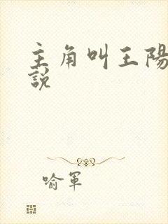 主角叫王阳的小说