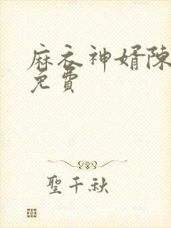 麻衣神婿陈黄皮免费