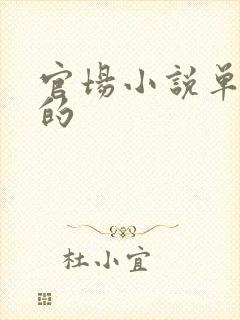 官场小说单女主的