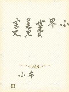 完美世界小说全文免费封面