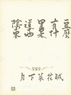 阴道里有豆腐渣东西是什么原因