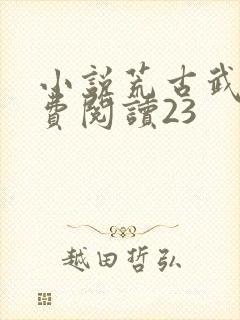 小说荒古武神免费阅读23封面