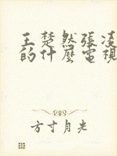 王楚然张凌赫演的什么电视剧封面