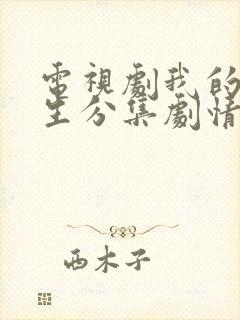 电视剧我的后半生分集剧情