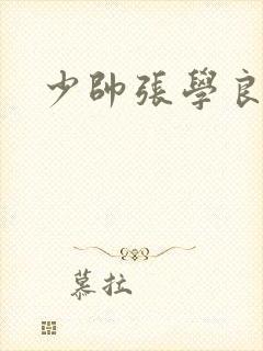 少帅张学良小说