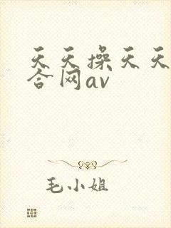 天天操天天射综合网av