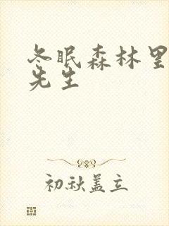 冬眠森林里的熊先生封面