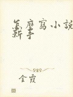 怎么写小说挣钱新手封面