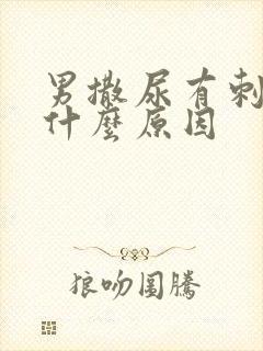 男撒尿有刺痛感什么原因