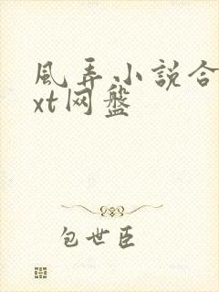风弄小说合集txt网盘