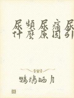 尿频尿痛尿出血什么原因引起的